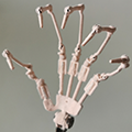 ArticulateFinger