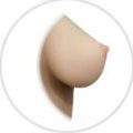 Solid Breast